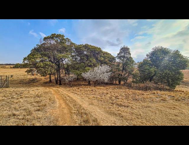 FARM FOR SALE IN RIETFONTEIN